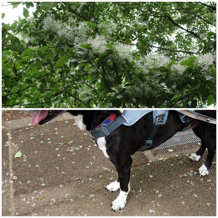 467020c1 95b2 4456 9dd3 c67db6b8183a 1714524309831