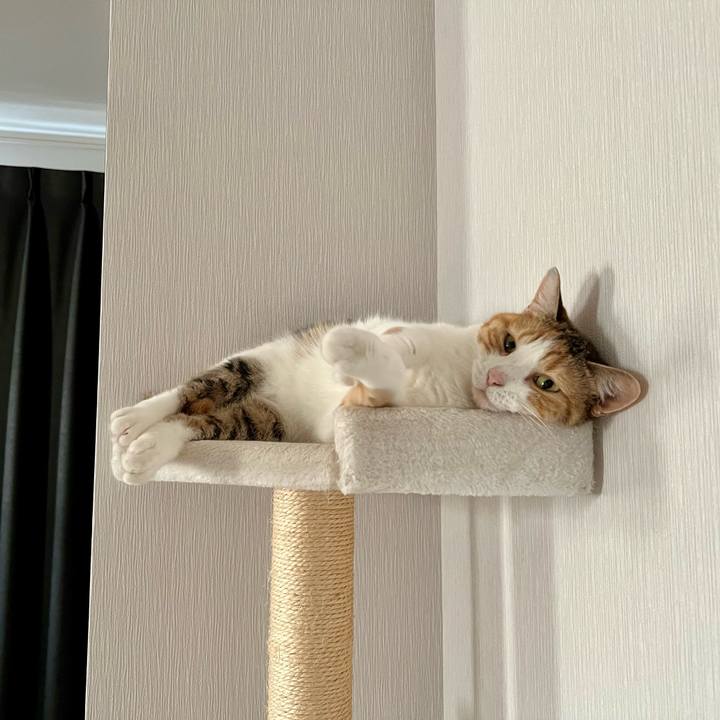 4670379d 0ffd 4ee5 b50f b9ccc1531f65 1756180415325