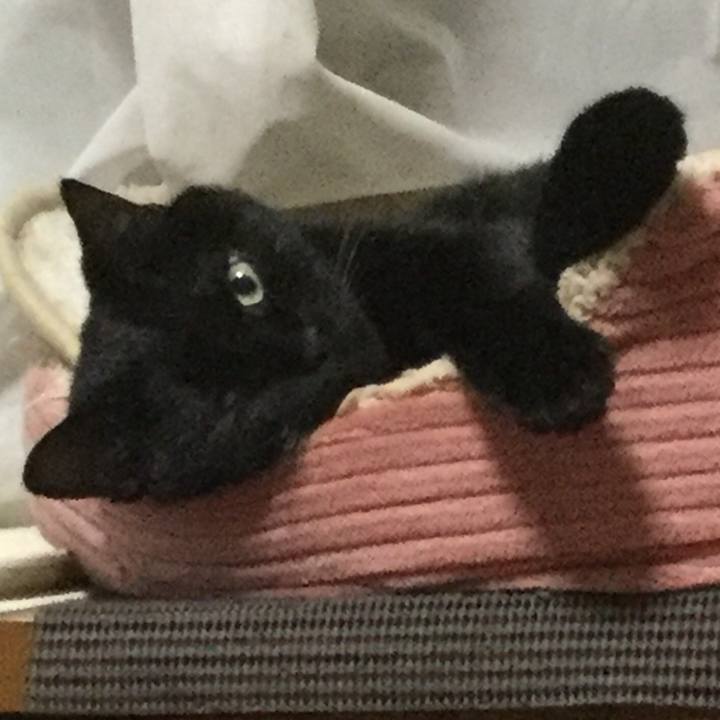 467065e7 aa6a 486b ae47 f401770b26ac 1597018799249