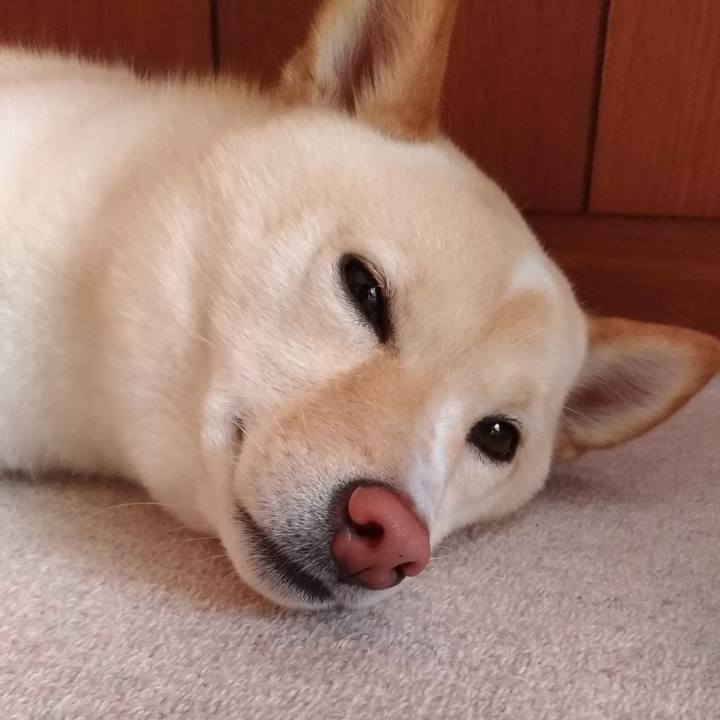 467076b5 4b38 412d b156 9c99b23784ce 1558998475990