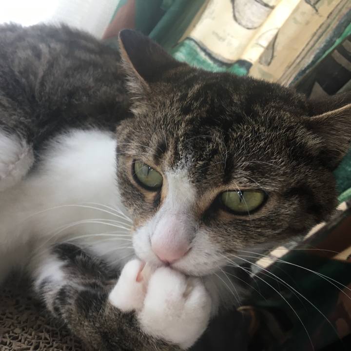 46707af9 b4b8 4a46 85ac 00df86feceb5 1696900446117