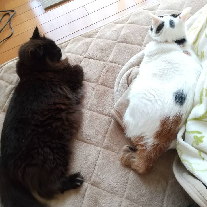 4670af1a 5efd 4357 b0a4 b601574a81c9 1648860542859