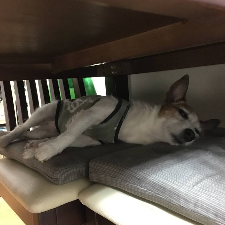 4670afcf c169 478d 813a 1df60b815aa1 1654039297403