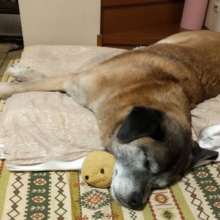 4670b16b 59dc 4923 aee9 f3af5cdf7dfe 1518704611232