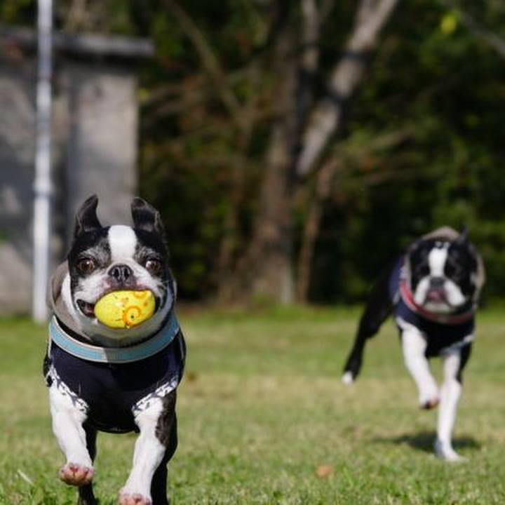 4670d952 c0cf 46bc 94df c975562e7f12 1541926538050