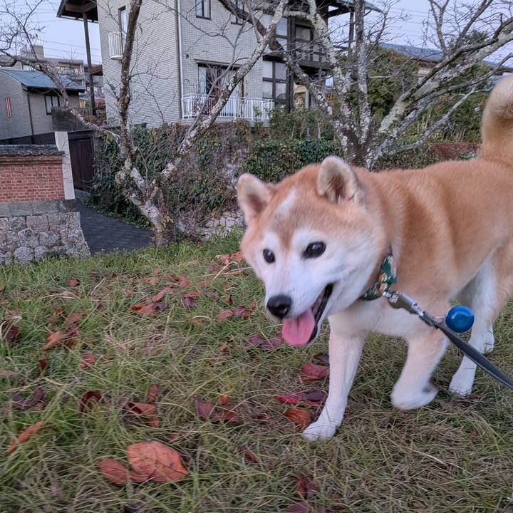 467104f2 843a 4f7a b025 9d943dbc9cff 1765272543604