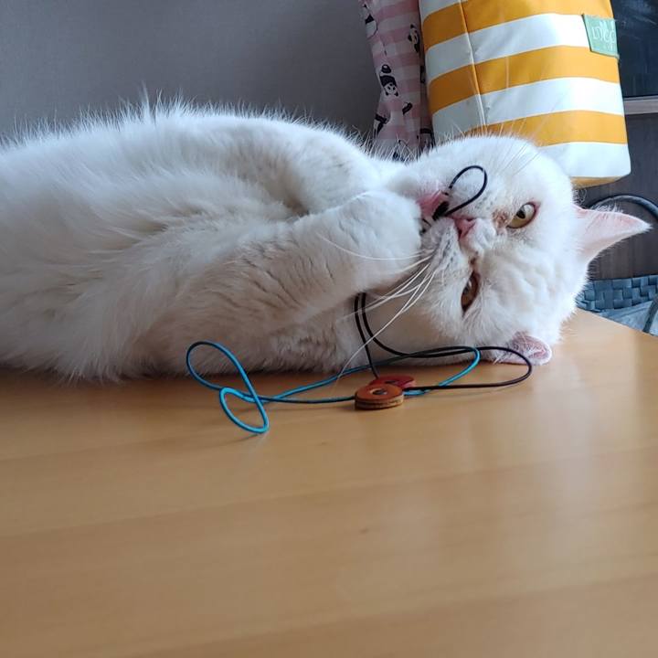 46715fc0 b7a0 420c a69b a350fd5fcc8f 1633225796387