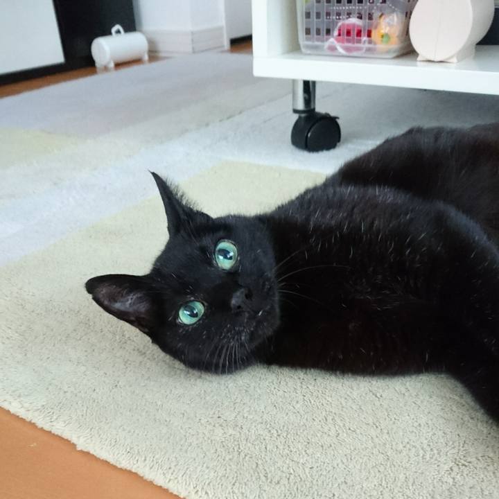 4671637f 39e9 4f58 be90 34c6ab3b1bca 1545036676348