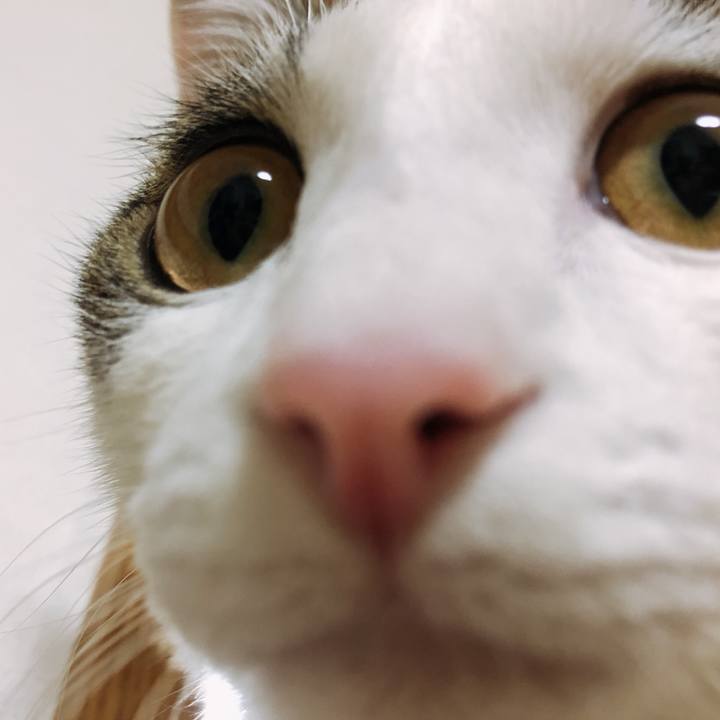 46717059 c3f0 4a35 9c99 53a110a803f1 1575116603990