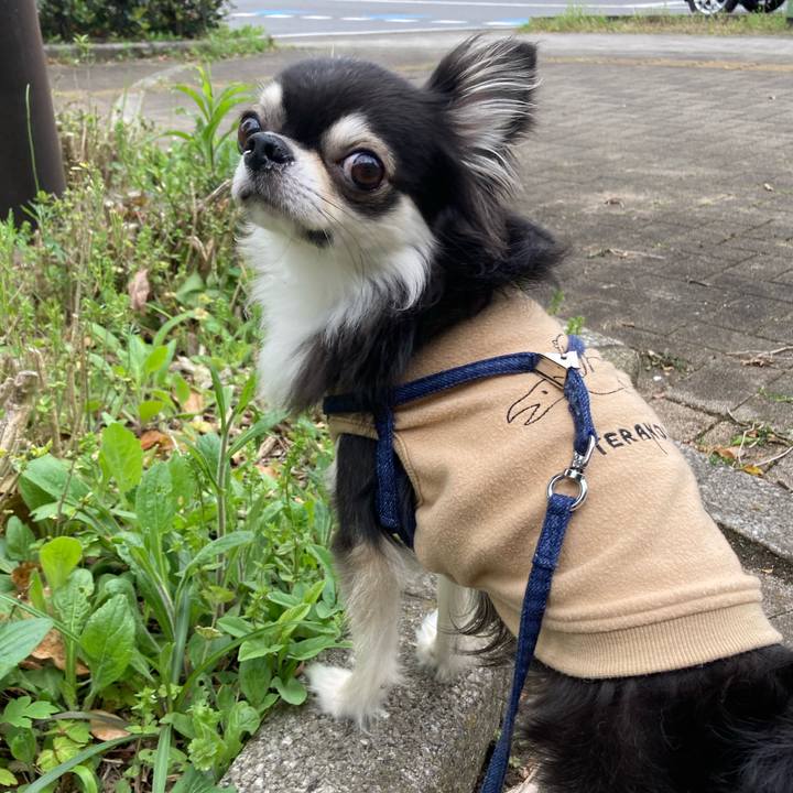 467189be fe55 4aaf a336 89190cbc9baf 1680966405506