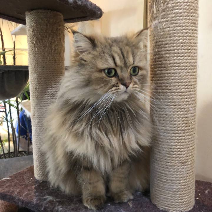 46718e6b b979 4d68 806a be0bee4eb565 1551098701633