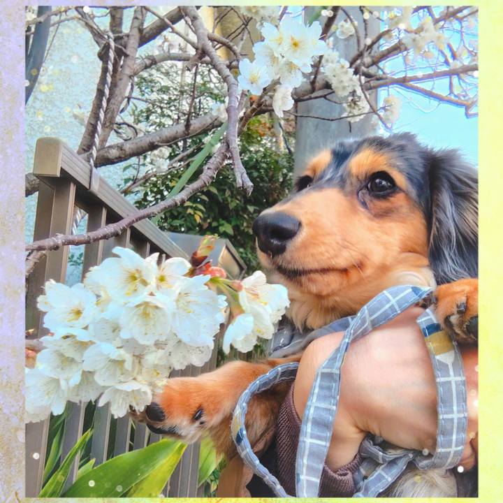 4671903a a4d8 459b 8035 7f14462e8e1b 1710752810242