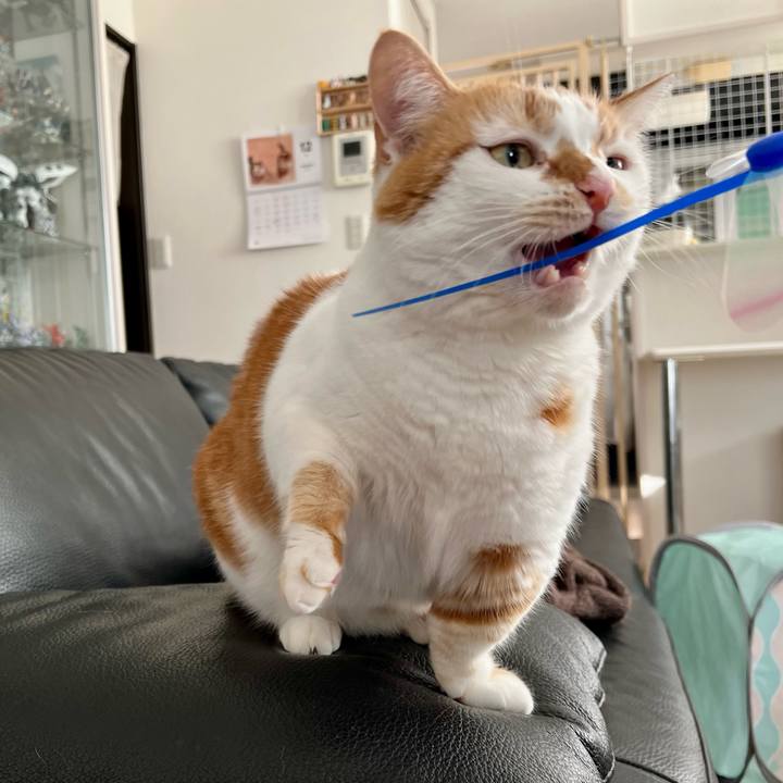 4671b394 e3f2 4cc5 80af aed2236e6cf1 1765852868830