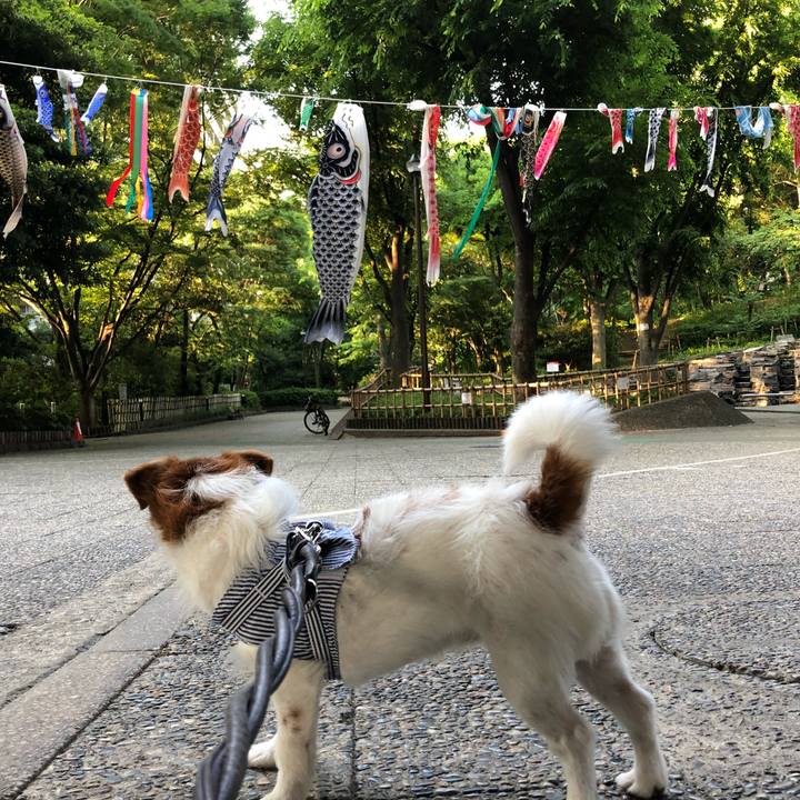 4671d5de 9e89 47c6 a14b 04a96c83b1ee 1525469775932