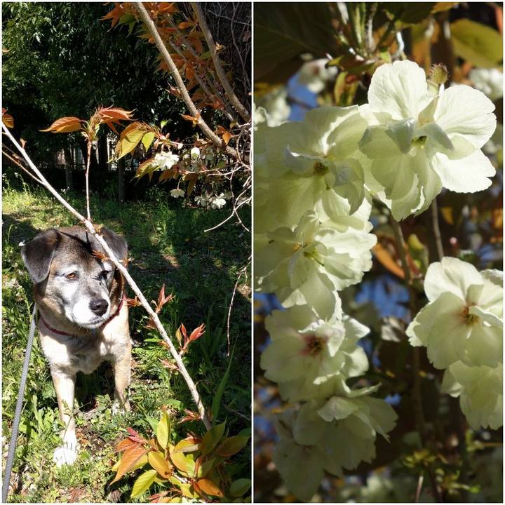 46720342 1af9 49da 9beb 8eb36e936e43 1555120198177