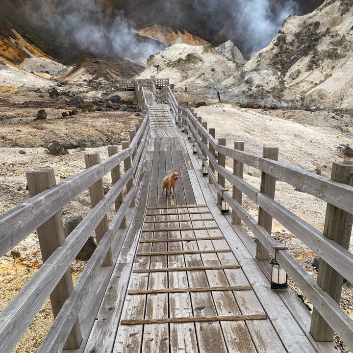 46722c55 198c 4de0 aa48 01a4e112bebb 1668556177160