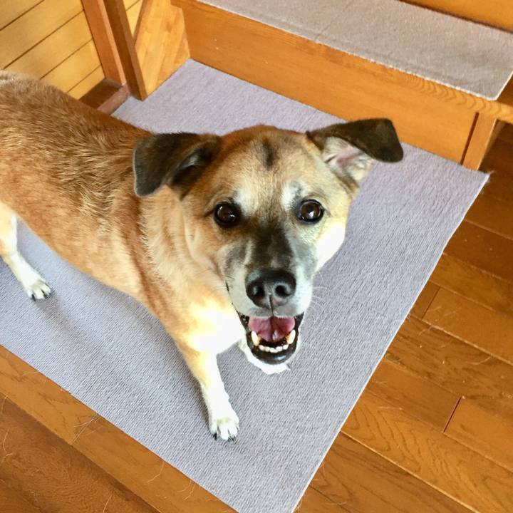 467232c7 6357 4ddf 9058 0ad3c6566036 1533168744250