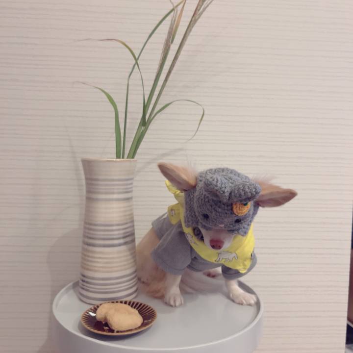 46724646 5c47 49b8 b28e 4f80d8709c02 1695990658112