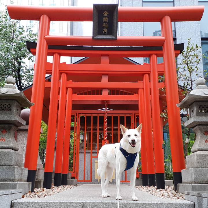 46727833 5aae 41e6 bb86 a937318b7cf3 1681617545065