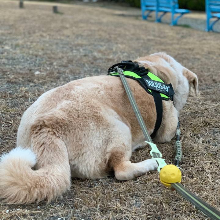 46727e39 172a 43d6 abb8 d10307c3a211 1549875968857