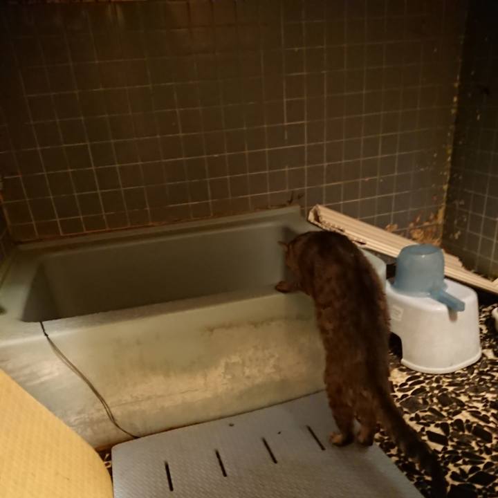 46728489 0553 4178 8298 531dfeb66a4f 1573374032274