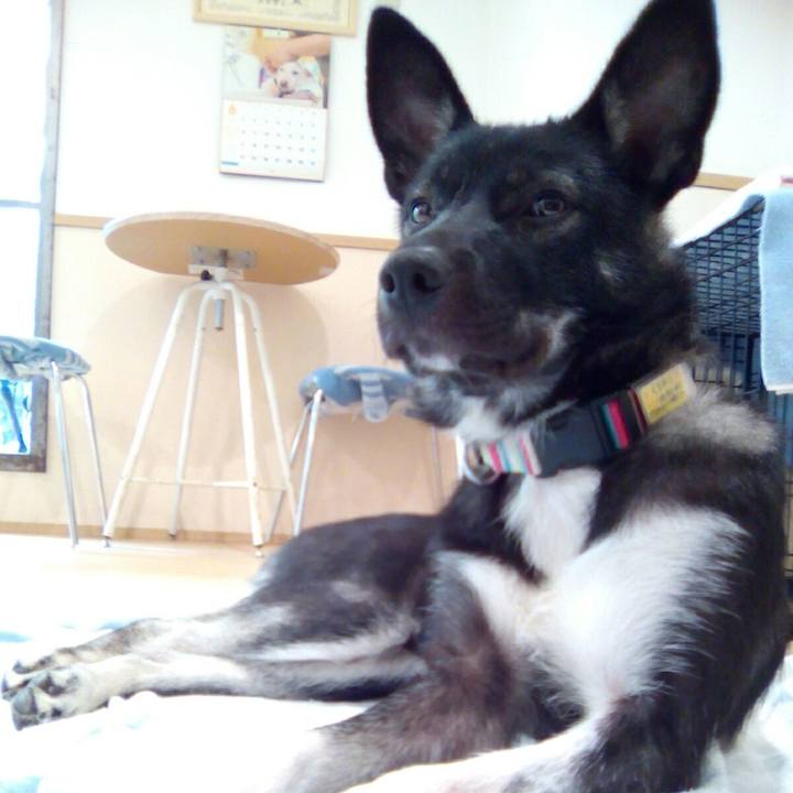 4672beed ffa3 4d67 b4d9 badcf09efebb 1529227771745