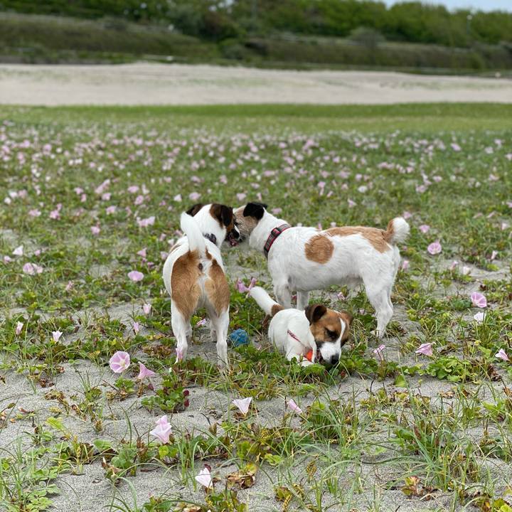 4673206e 9b12 4db7 901b 37da1407c3e1 1622940468620