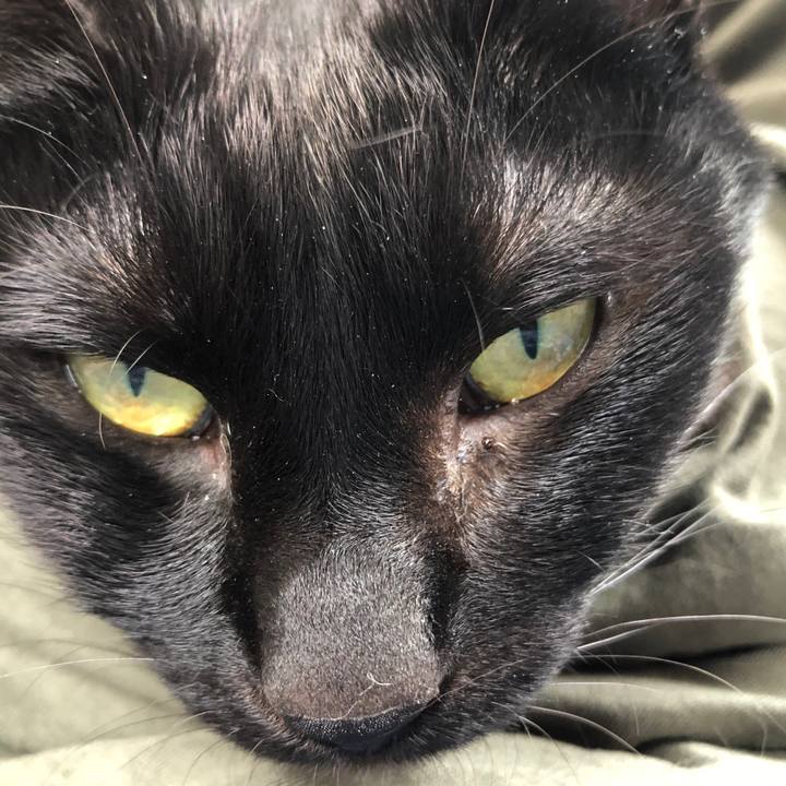 467386b6 6070 4ebc a02a 34f8da97f173 1679797394578