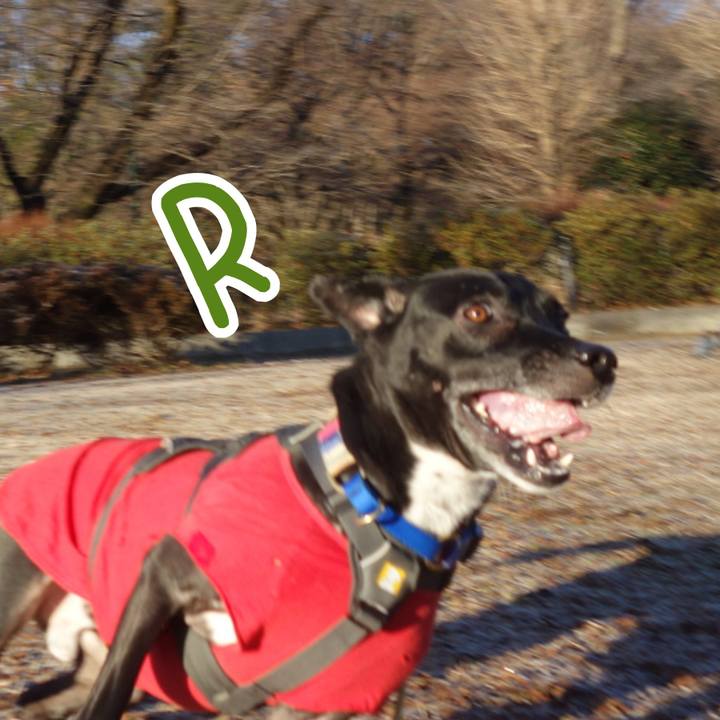 46739d1c e9ab 41f0 8661 da2b9a36c6b2 1641691769891