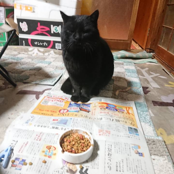 4673cde2 7468 4723 b097 30385314664c 1646050800296