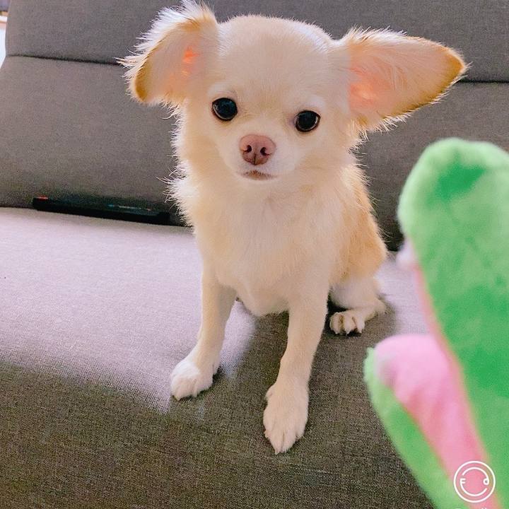 467406e0 aa87 4795 b2db 93010402ce2f 1629702218249