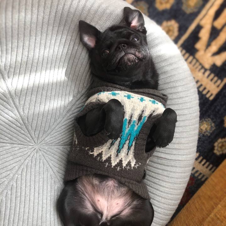 46744788 da88 4d26 993a b680a7713ccf 1612659548741