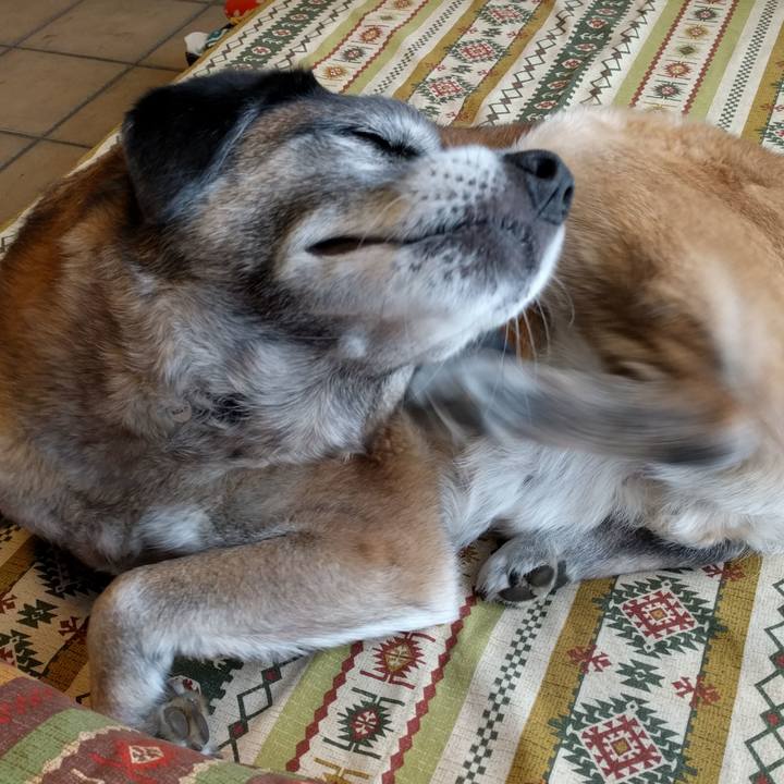 46745732 bc01 4390 9e47 ffea1cf87f9d 1520731517975