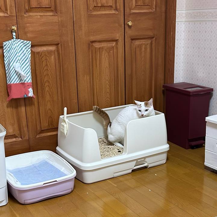 467475a4 3185 4c83 8d82 45d6af8b8acc 1681678727371