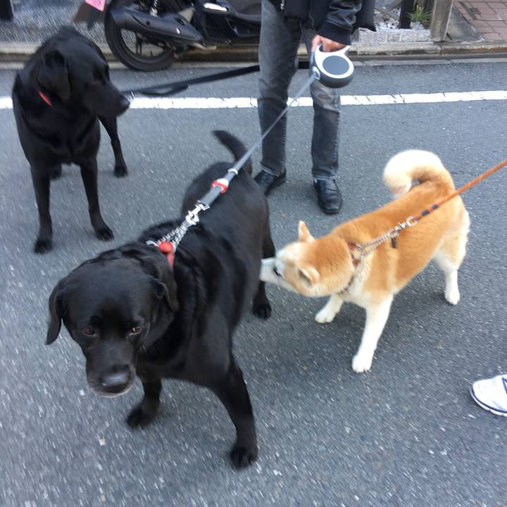 467498e4 7342 4ae0 ad7b 602b1d18ef75 1523147069520