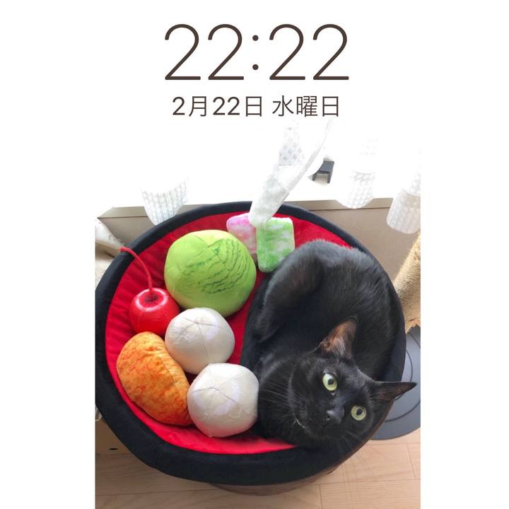 4674e791 6e0a 43e9 8c06 aa7d25f05415 1677072287070