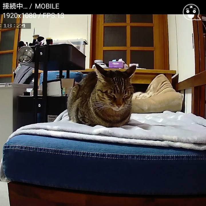 4674fa99 c3e9 40b0 887e 718b8bdca14f 1543483247203