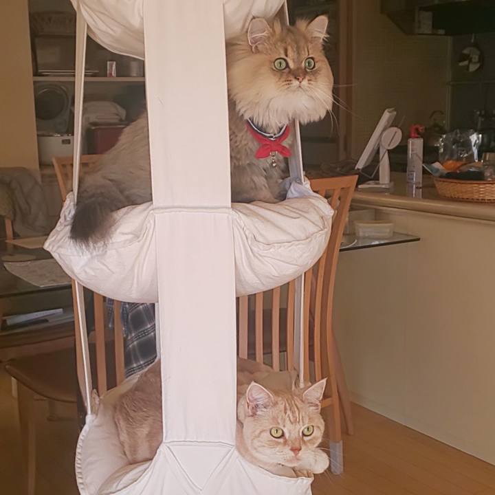 4675222f 340a 4323 b052 a7f23ab72e6e 1574122600437