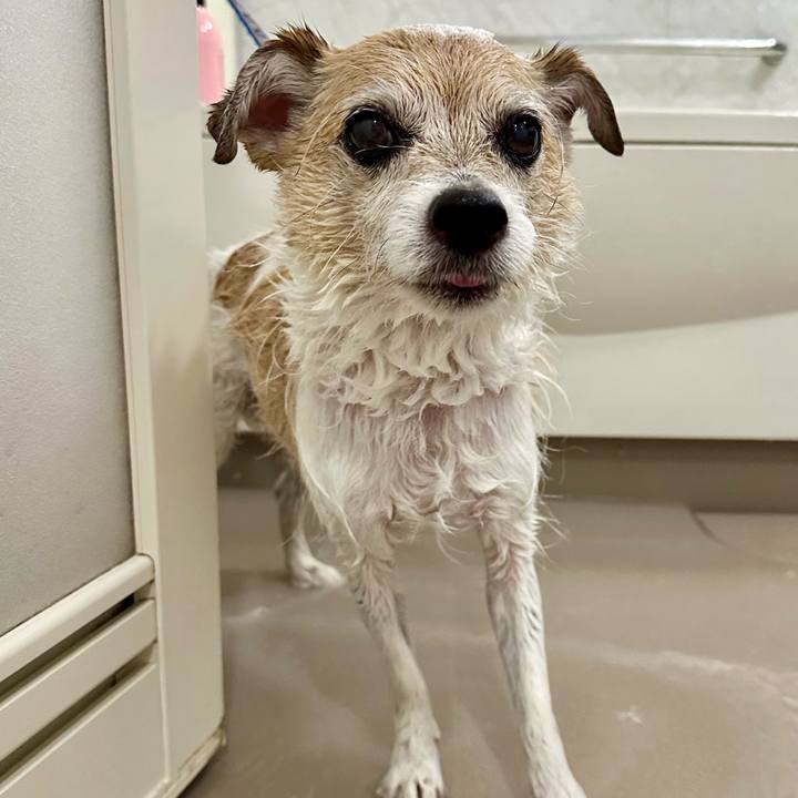 46753703 691a 409f b054 b29e962d7f05 1719378002352