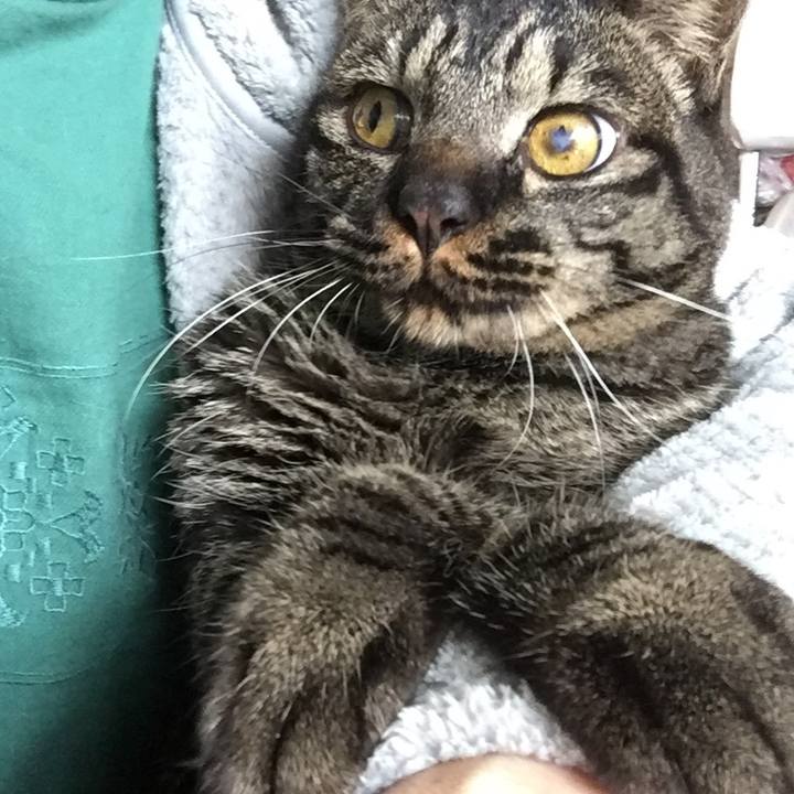 46754e53 0737 4c47 9820 924db3d8260b 1587439876979