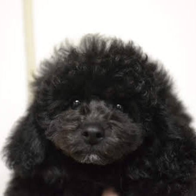 467551eb d04b 4668 854f 88148c531e13 1580803640603