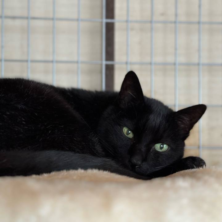 467559fd 1c25 49b0 a0fe c74b0eb271dd 1675385108965