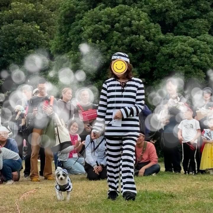 4675ef6a 0ec1 4c6d 85e4 247562b4d598 1730031733588