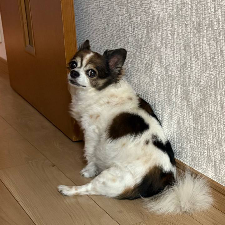 4675f0ca 114f 4294 b99b f5415eefceee 1752150298999