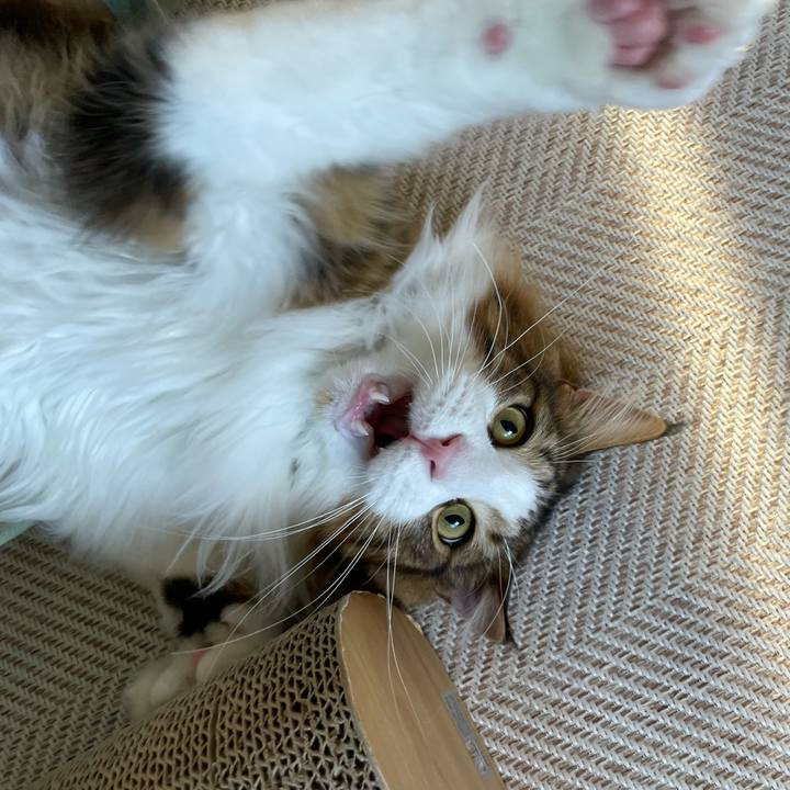 4675f2df 0d32 4953 9c40 b2d077265fb9 1653773350609