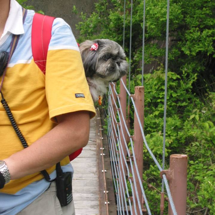 46761430 910d 4dcc be6f db45516993f5 1631405701792