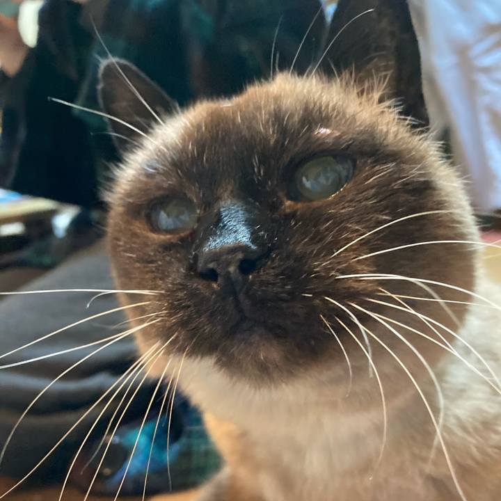 467634a2 4690 4e9c bf42 c1029fd65db1 1614258602835