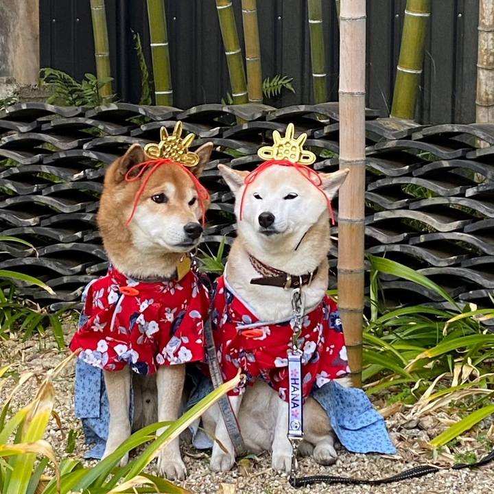 46766990 1bce 4606 8830 11e1ef14a37d 1740357323649