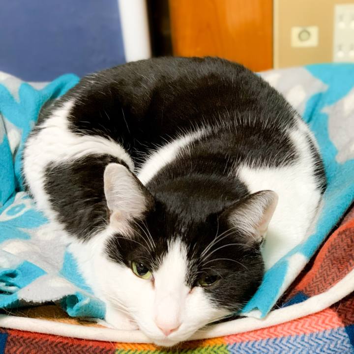 46766cb1 ac6f 474f be48 f488ed2e9584 1583461138247