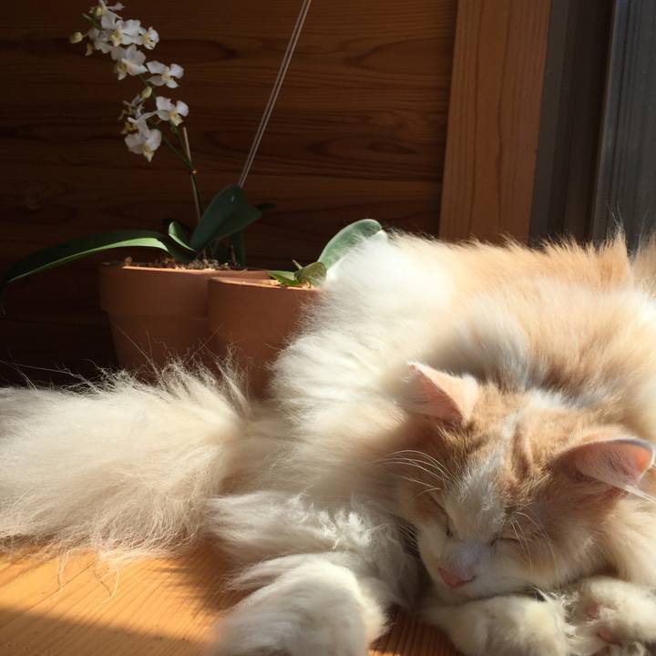 46766ed7 fbc5 441c 9712 871fc98f79e6 1601497873628